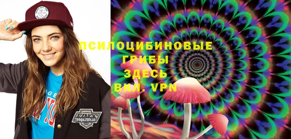 мдпв Богородицк