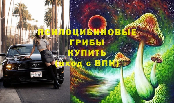 мдпв Богородицк