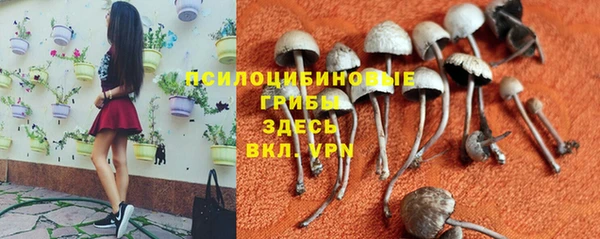 наркотики Богородск
