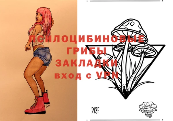 мдпв Богородицк