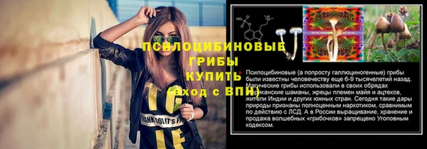 хмурый Покров